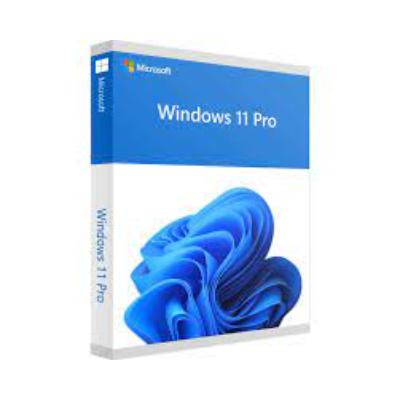 Win 11 Pro 64Bit.jfif